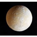 Fossiles Ei Nr. 02 der Riesenschildkr&ouml;te Aldabrachelys Madagaskar D: 57 mm 20 g