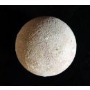 Fossiles Ei Nr. 02 der Riesenschildkr&ouml;te Aldabrachelys Madagaskar D: 57 mm 20 g