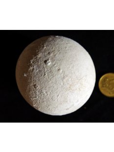 Fossiles Ei Nr. 03 der Riesenschildkr&ouml;te...