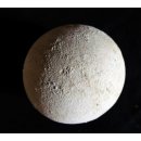 Fossiles Ei Nr. 03 der Riesenschildkr&ouml;te Aldabrachelys Madagaskar D: 55 mm 158 g