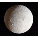 Fossiles Ei Nr. 03 der Riesenschildkr&ouml;te Aldabrachelys Madagaskar D: 55 mm 158 g