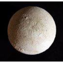 Fossiles Ei Nr. 03 der Riesenschildkr&ouml;te Aldabrachelys Madagaskar D: 55 mm 158 g