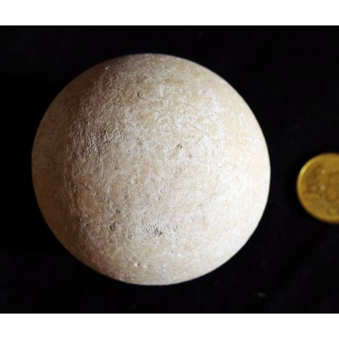 Fossiles Ei Nr. 06 der Riesenschildkr&ouml;te Aldabrachelys Madagaskar D: 57 mm 46 g