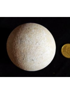 Fossiles Ei Nr. 06 der Riesenschildkr&ouml;te...