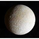 Fossiles Ei Nr. 06 der Riesenschildkr&ouml;te Aldabrachelys Madagaskar D: 57 mm 46 g