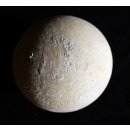 Fossiles Ei Nr. 06 der Riesenschildkr&ouml;te Aldabrachelys Madagaskar D: 57 mm 46 g