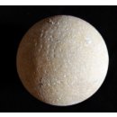 Fossiles Ei Nr. 06 der Riesenschildkr&ouml;te Aldabrachelys Madagaskar D: 57 mm 46 g