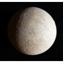 Fossiles Ei Nr. 06 der Riesenschildkr&ouml;te Aldabrachelys Madagaskar D: 57 mm 46 g