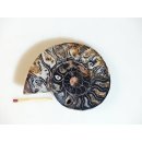 AM108 Ammoniten Paar Cleoniceras besairier Madagaskar seltene schwarze Farbe 205 g D 90 mm