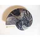 AM112 Ammoniten Paar Cleoniceras besairier Madagaskar seltene schwarze Farbe 684 g D 120 mm