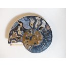 AM113 Ammoniten Paar Cleoniceras besairier Madagaskar seltene schwarze Farbe 582 g D 130 mm