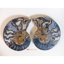 AM113 Ammoniten Paar Cleoniceras besairier Madagaskar seltene schwarze Farbe 582 g D 130 mm