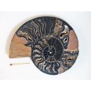 AM114 Ammoniten Paar Cleoniceras besairier Madagaskar seltene schwarze Farbe 534 g D 130 mm
