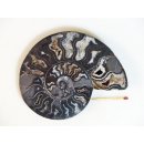 AM115 Ammoniten Paar Cleoniceras besairier Madagaskar seltene schwarze Farbe 329 g D 120 mm