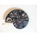 AM116 Ammoniten Paar Cleoniceras besairier Madagaskar seltene schwarze Farbe 274 g D 95 mm