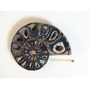 AM116 Ammoniten Paar Cleoniceras besairier Madagaskar seltene schwarze Farbe 274 g D 95 mm