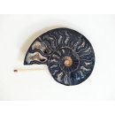 AM132 Ammoniten Paar Cleoniceras besairier Madagaskar seltene schwarze Farbe 145 g D 90 mm