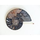 AM134 Ammoniten Paar Cleoniceras besairier Madagaskar seltene schwarze Farbe 147 g D 90 mm