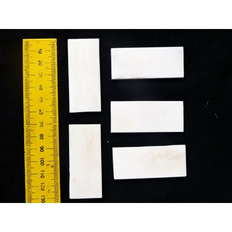 5 St&uuml;ck B&uuml;ffel Knochen Rohling Platte 60 x 25 x 4  mm