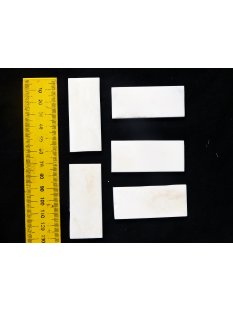 5 St&uuml;ck B&uuml;ffel Knochen Rohling Platte 60 x 25 x...